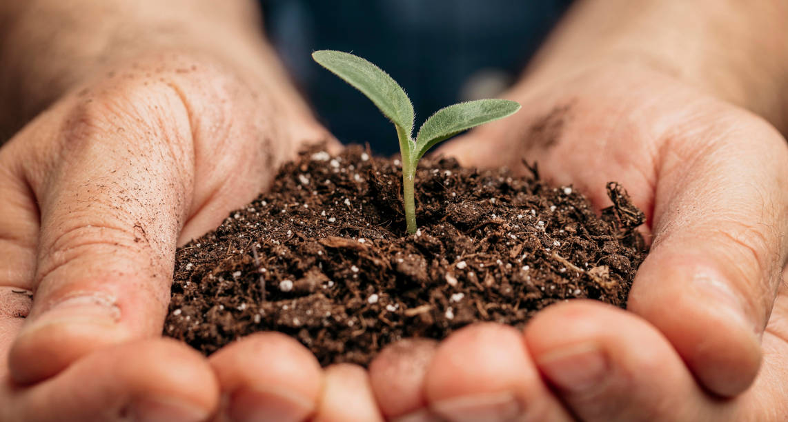 primer-plano-manos-masculinas-sosteniendo-suelo-pequena-planta