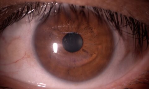 Primer plano de un ojo de color café