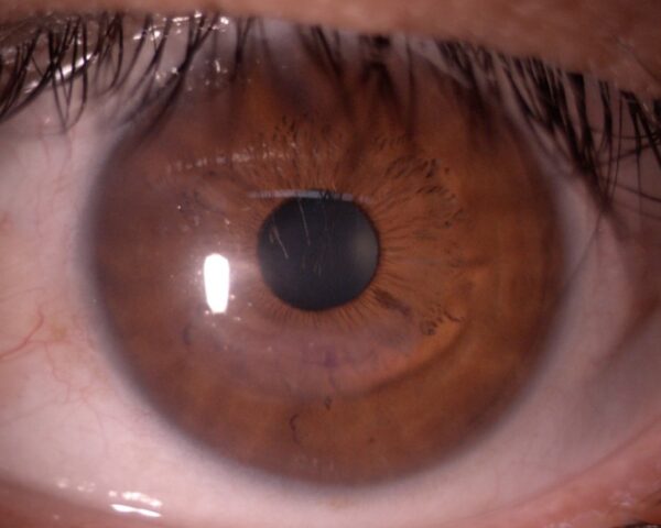 Primer plano de un ojo de color café