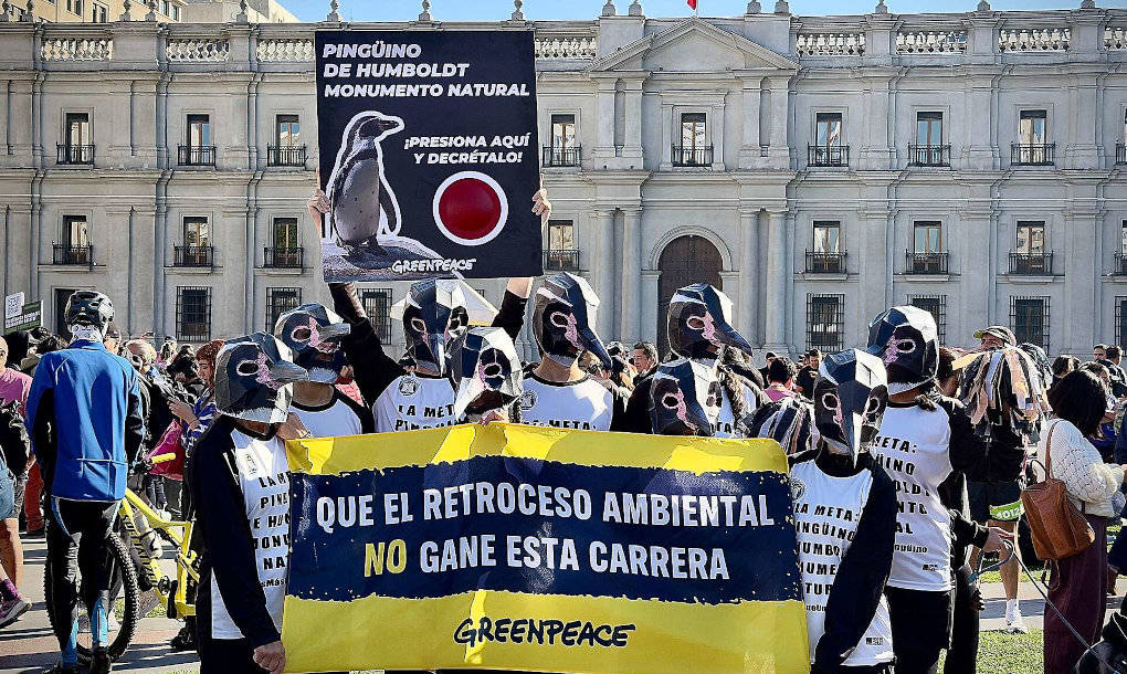 dd19f111-maraton-8-2048x1152