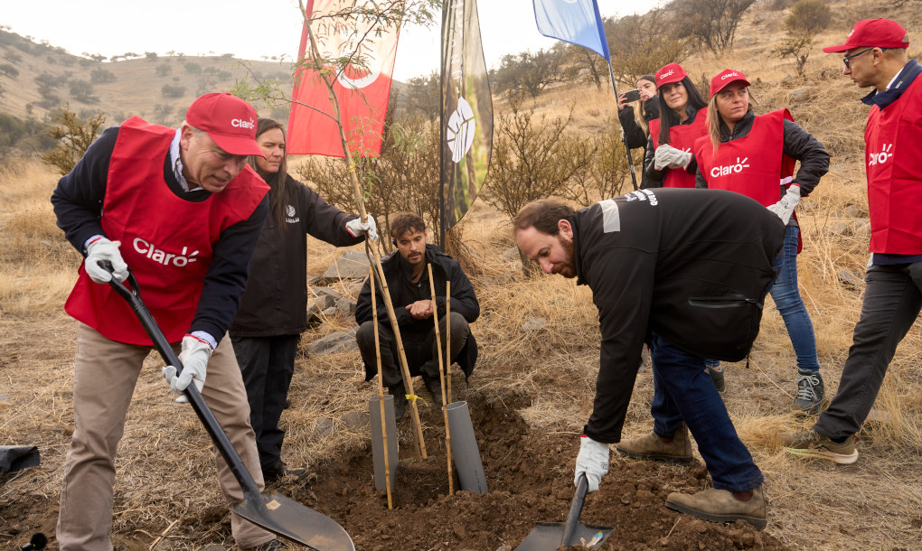 Reforestacion-El-Rosal