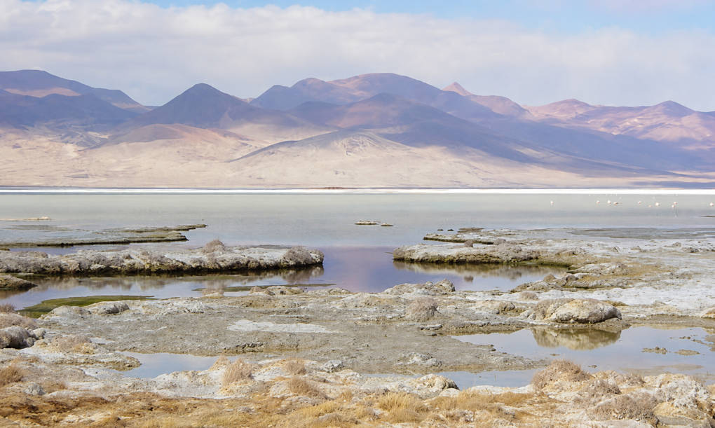 Salar-de-huasco
